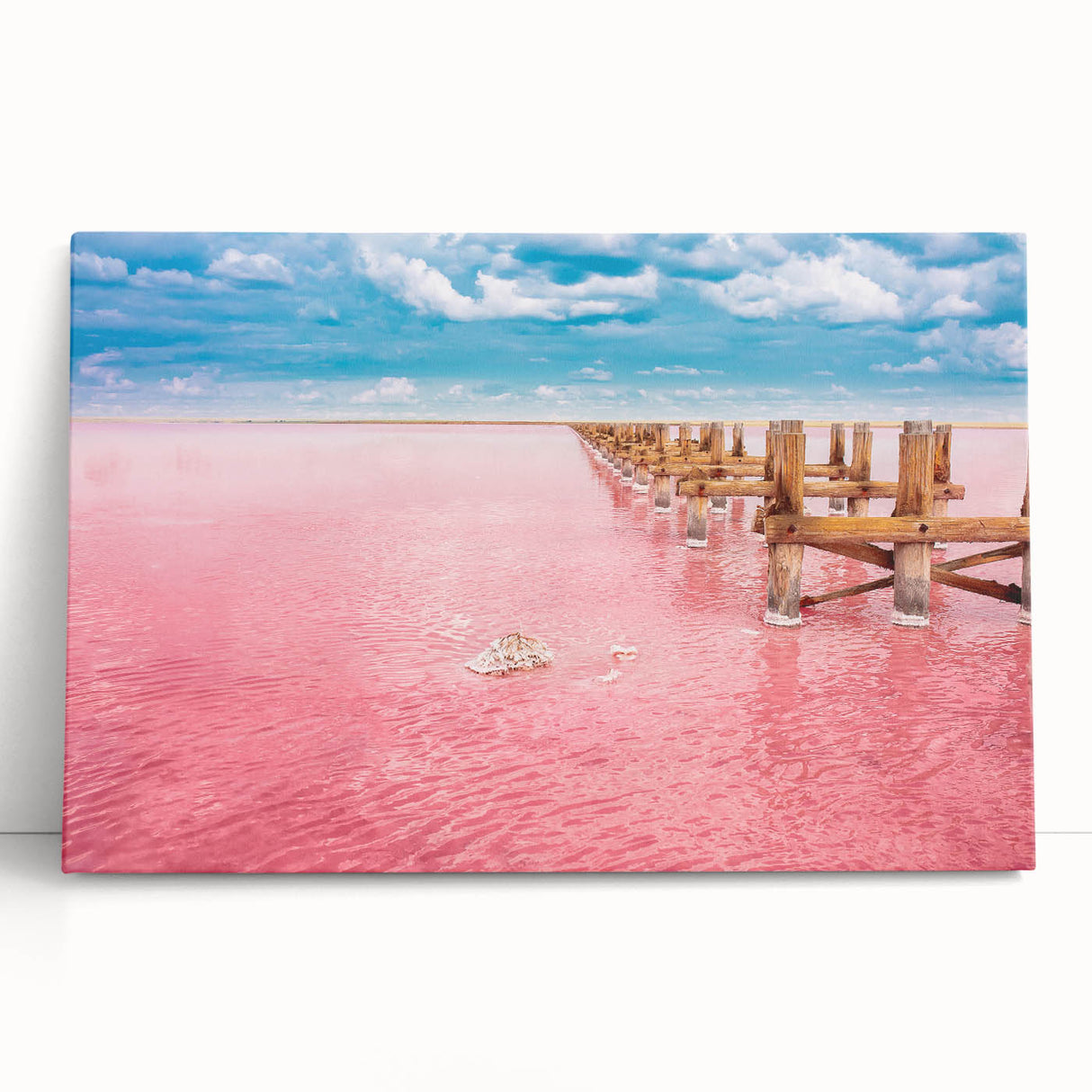 Black and white photograph of Yucatan scenery on stretched canvas, ideal for kitchen wall art or bedroom ambiance.