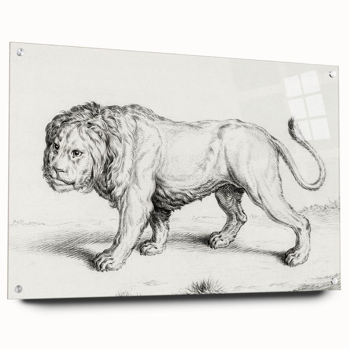 Lion Sketch by Jean Bernard - Romanticism Black and White Wall Art