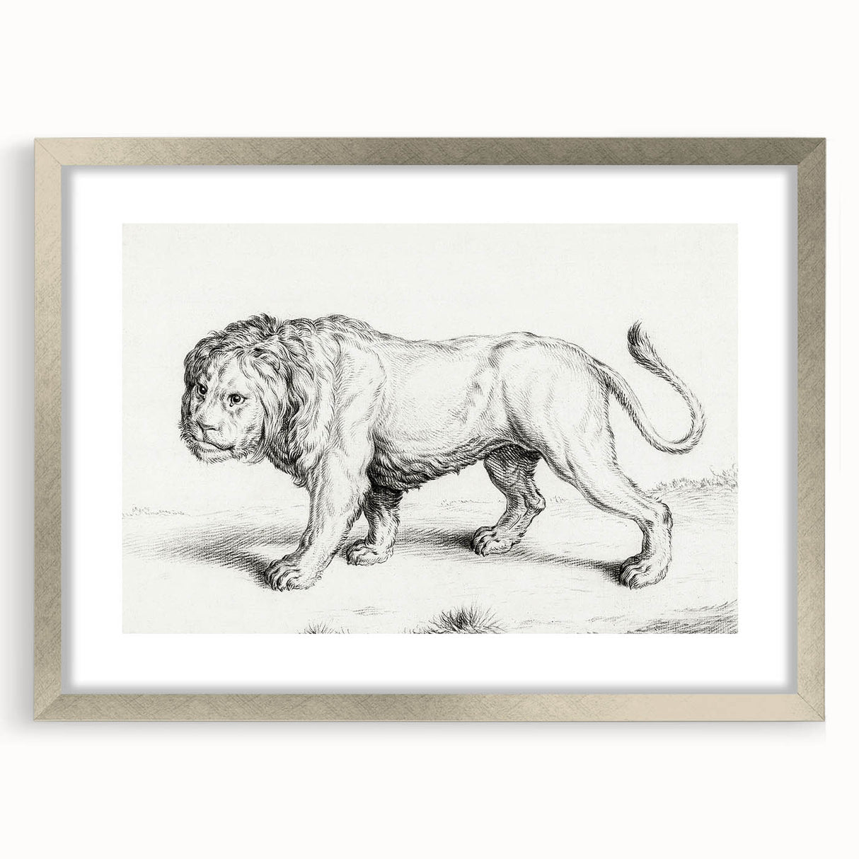 Lion Sketch by Jean Bernard - Romanticism Black and White Wall Art