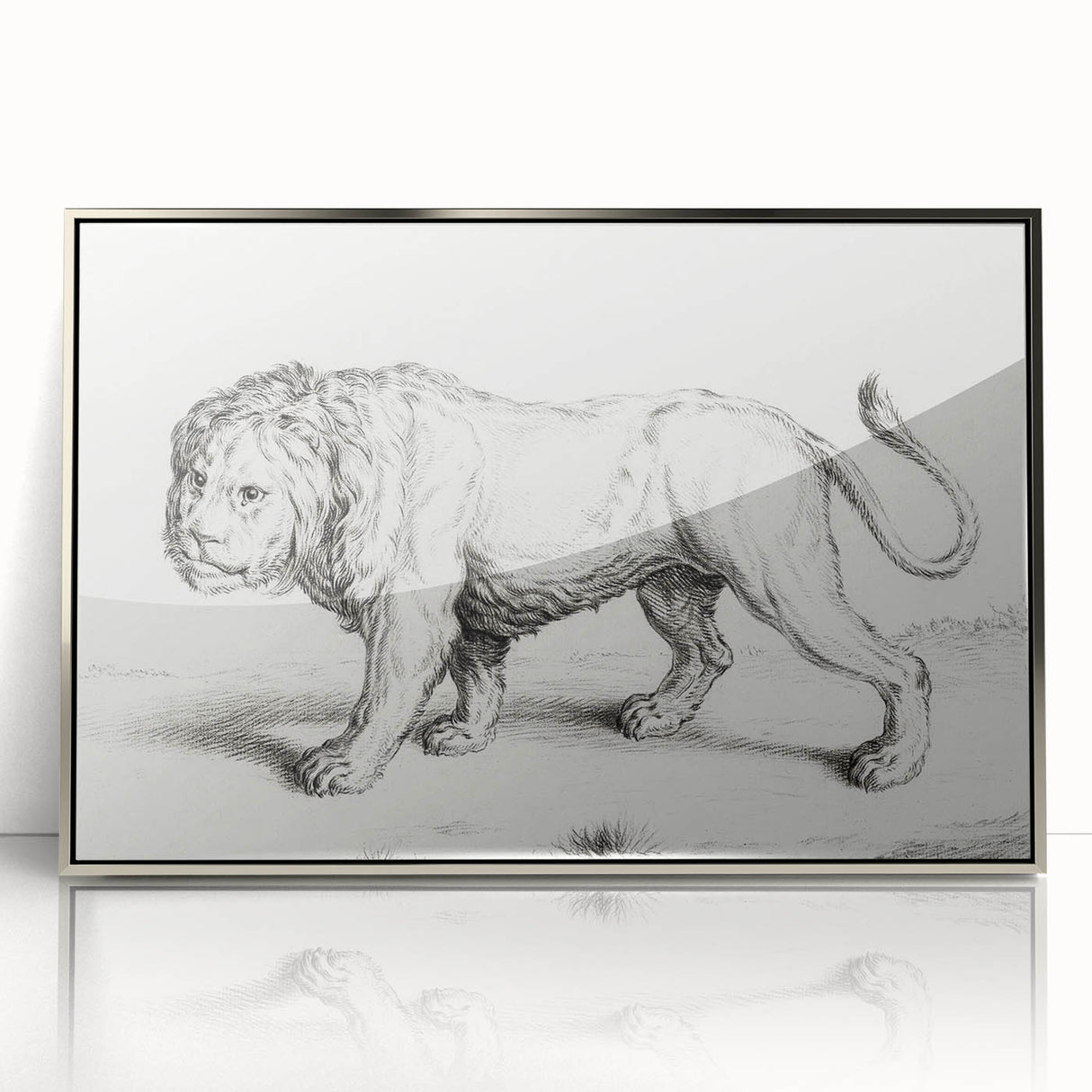 Lion Sketch by Jean Bernard - Romanticism Black and White Wall Art