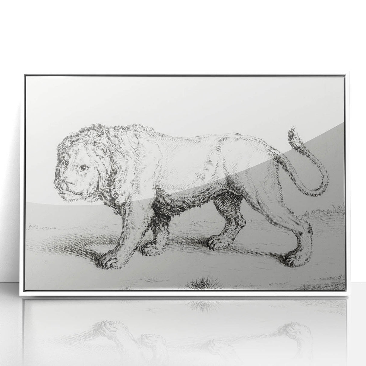 Lion Sketch by Jean Bernard - Romanticism Black and White Wall Art