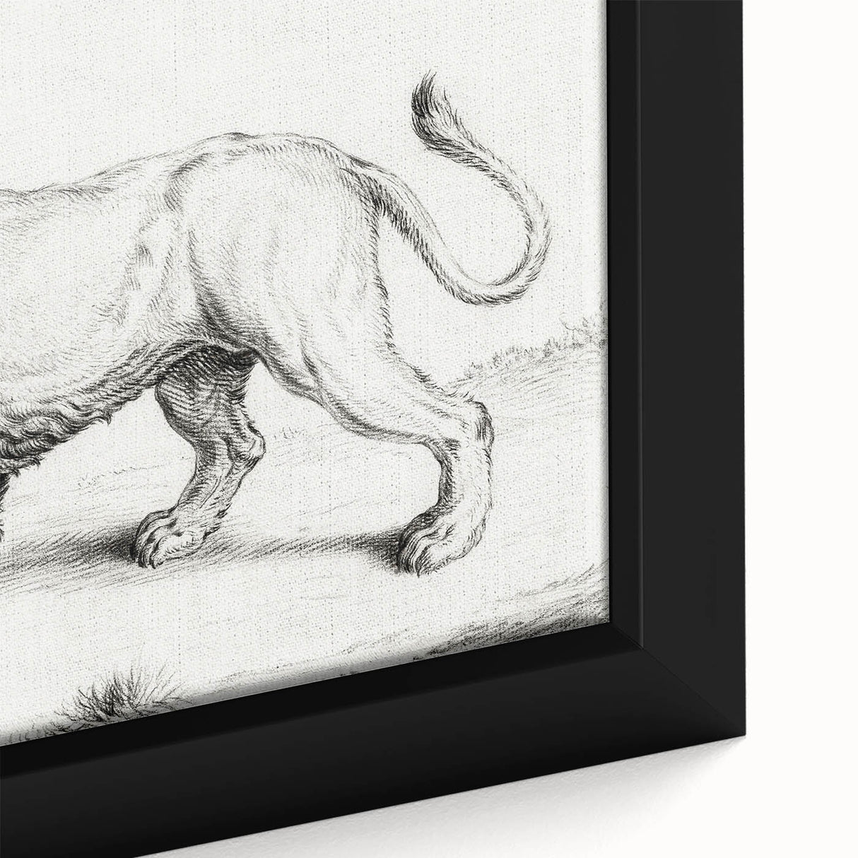Lion Sketch by Jean Bernard - Romanticism Black and White Wall Art