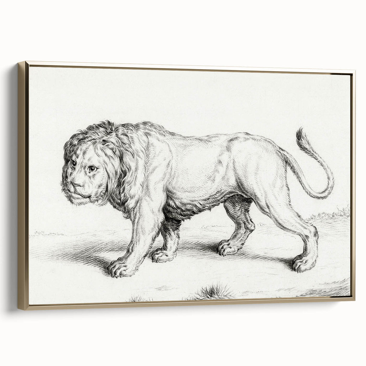 Lion Sketch by Jean Bernard - Romanticism Black and White Wall Art