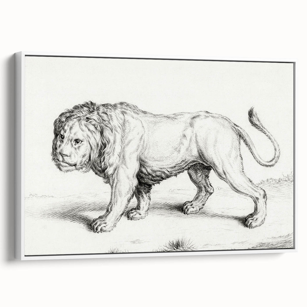 Lion Sketch by Jean Bernard - Romanticism Black and White Wall Art