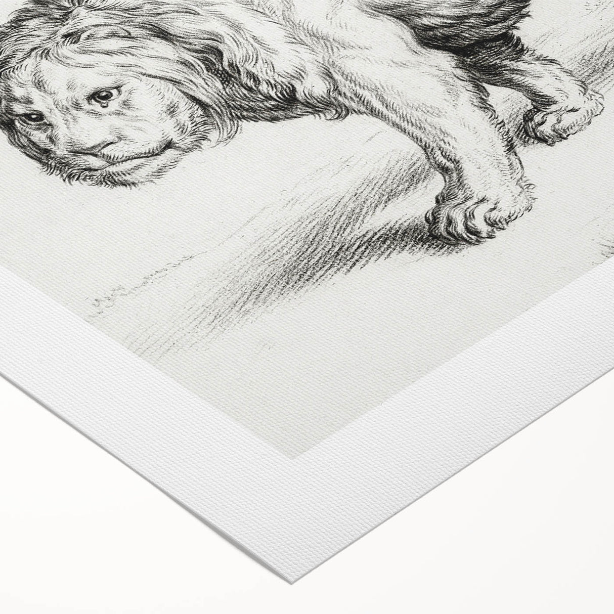 Lion Sketch by Jean Bernard - Romanticism Black and White Wall Art
