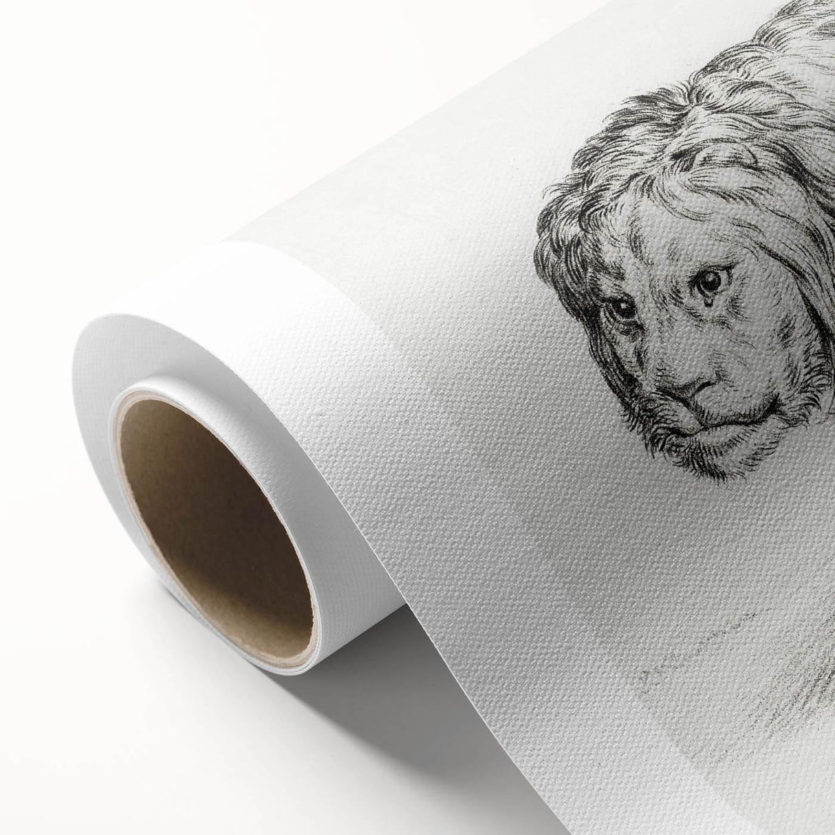 Lion Sketch by Jean Bernard - Romanticism Black and White Wall Art