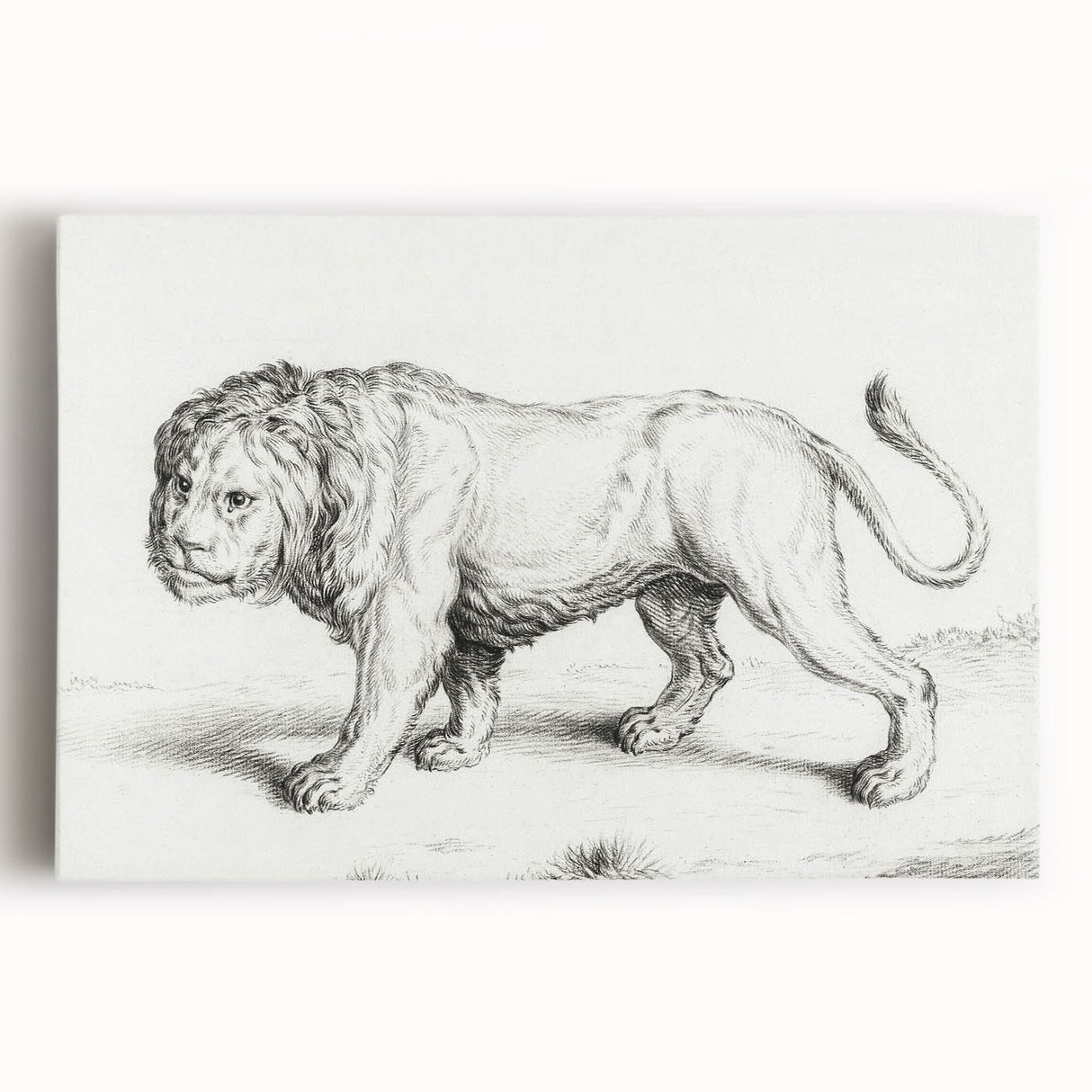 Lion Sketch by Jean Bernard - Romanticism Black and White Wall Art