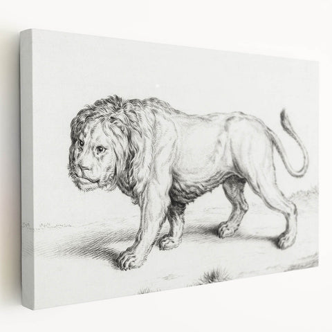 Lion Sketch by Jean Bernard - Romanticism Black and White Wall Art