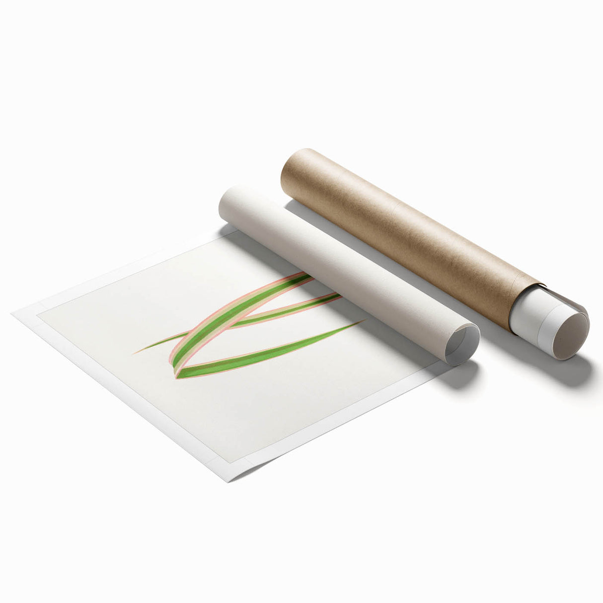 Yucca Aloefolia Leaf - Romantic Botanical Canvas Wall Art