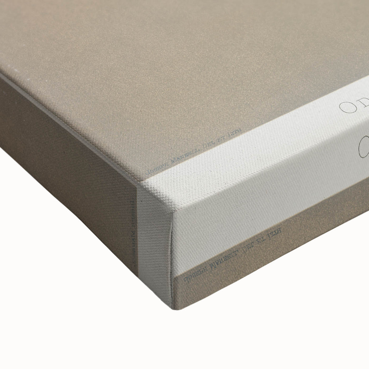 Orchid Botanical Art - Odontoglossum Romanticism Canvas Print