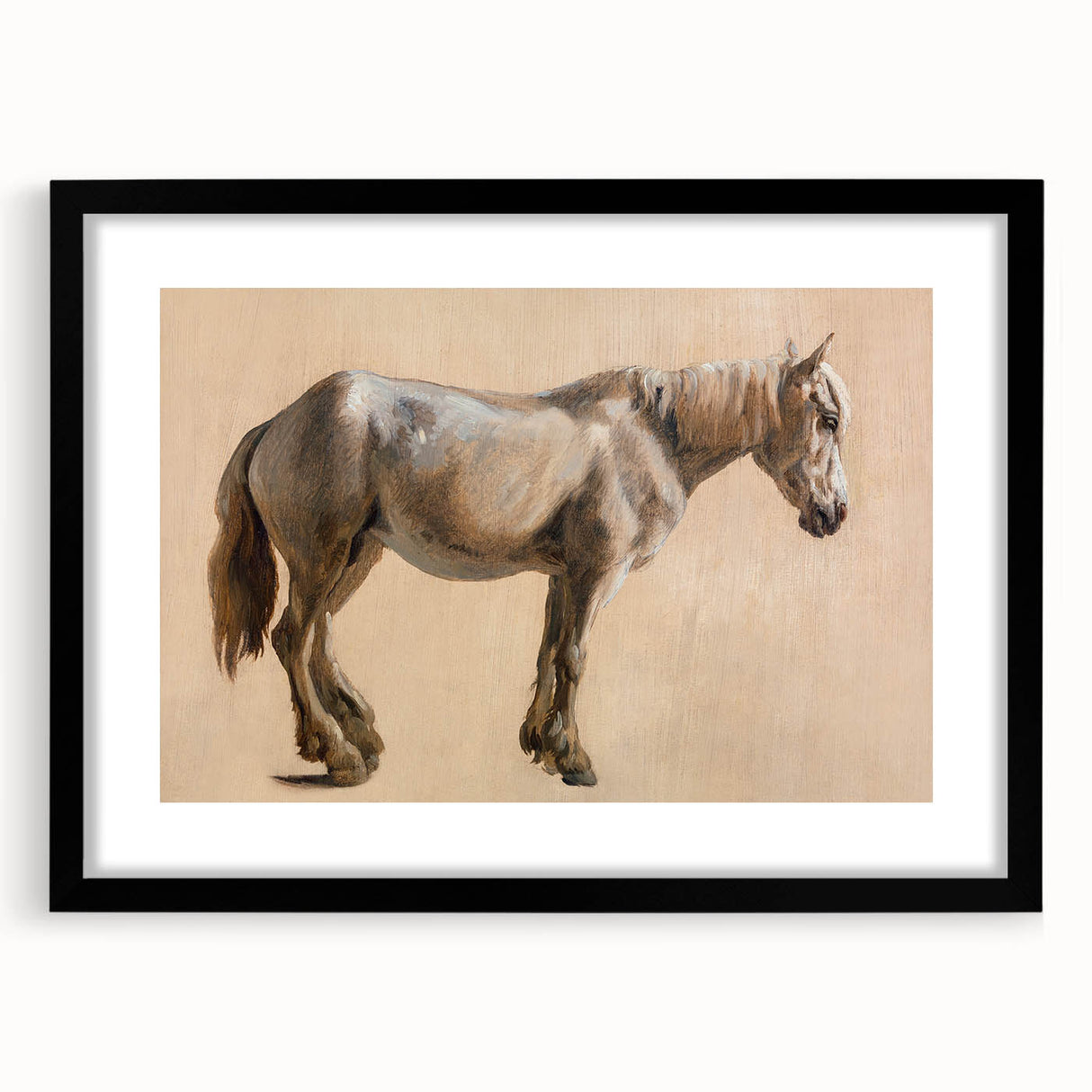 Study of a Grey Horse - Romanticism Art by Jacques-Laurent Agasse