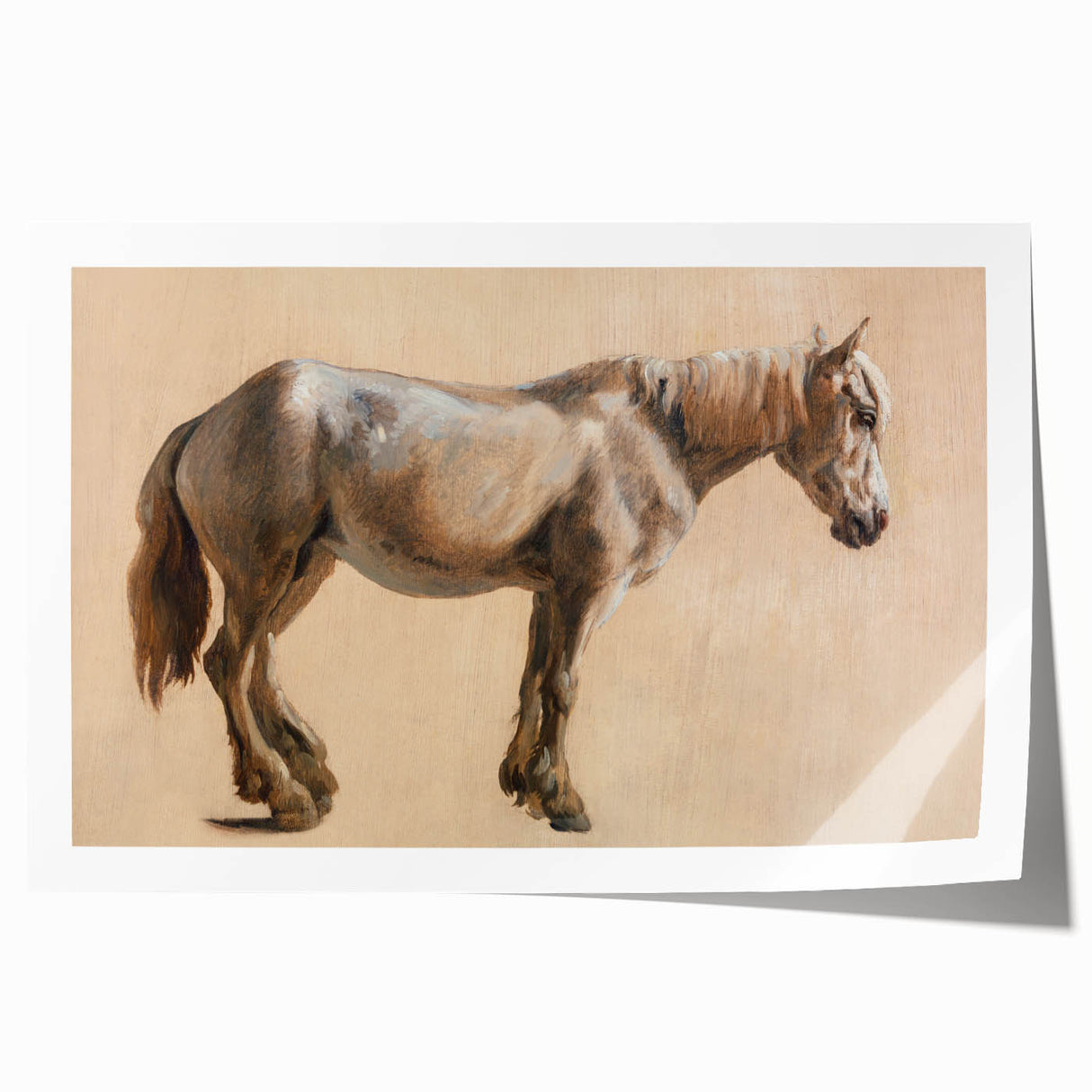 Study of a Grey Horse - Romanticism Art by Jacques-Laurent Agasse