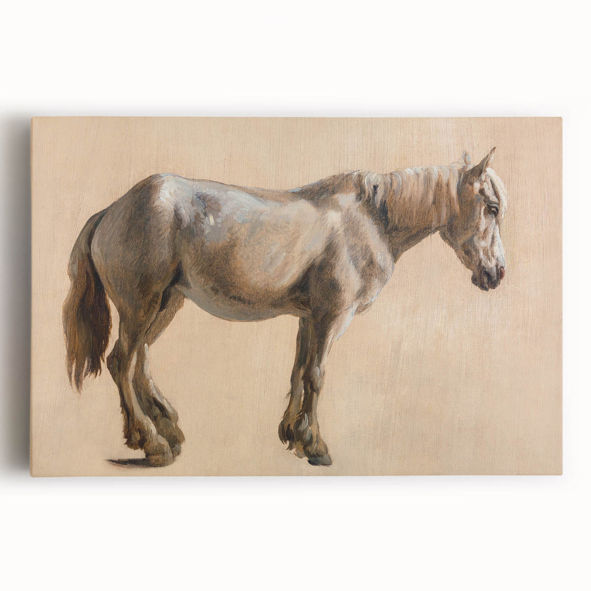 Study of a Grey Horse - Romanticism Art by Jacques-Laurent Agasse