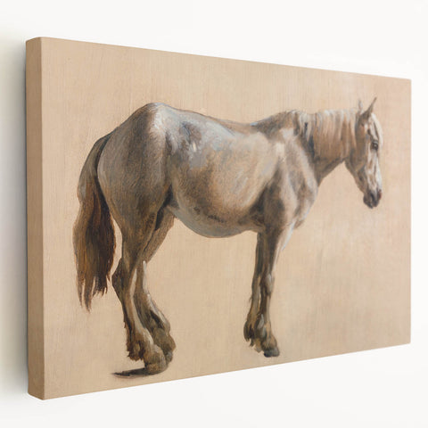 Study of a Grey Horse - Romanticism Art by Jacques-Laurent Agasse
