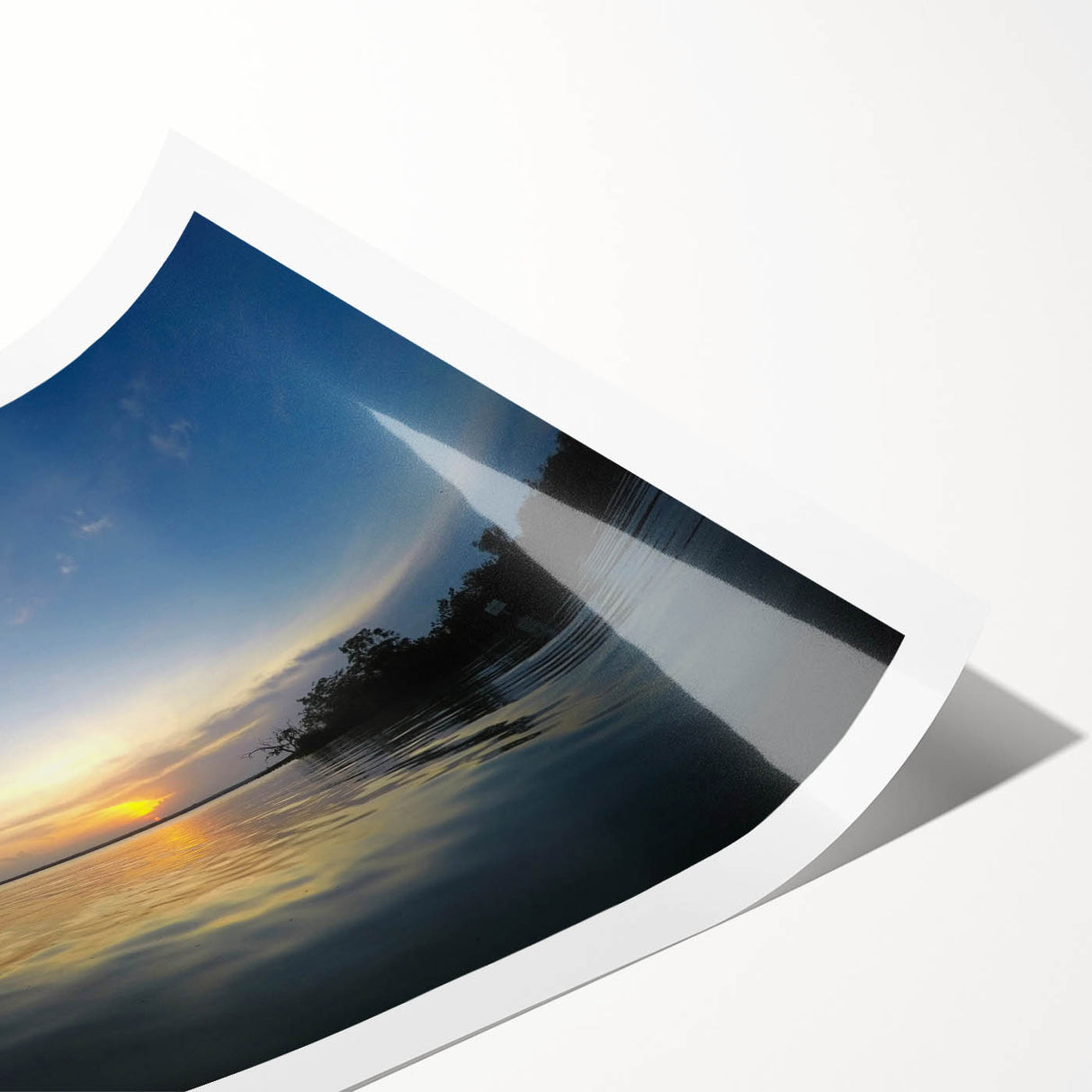 Extra large wall art featuring line art flowers in soft pastel shades on a rolled print.