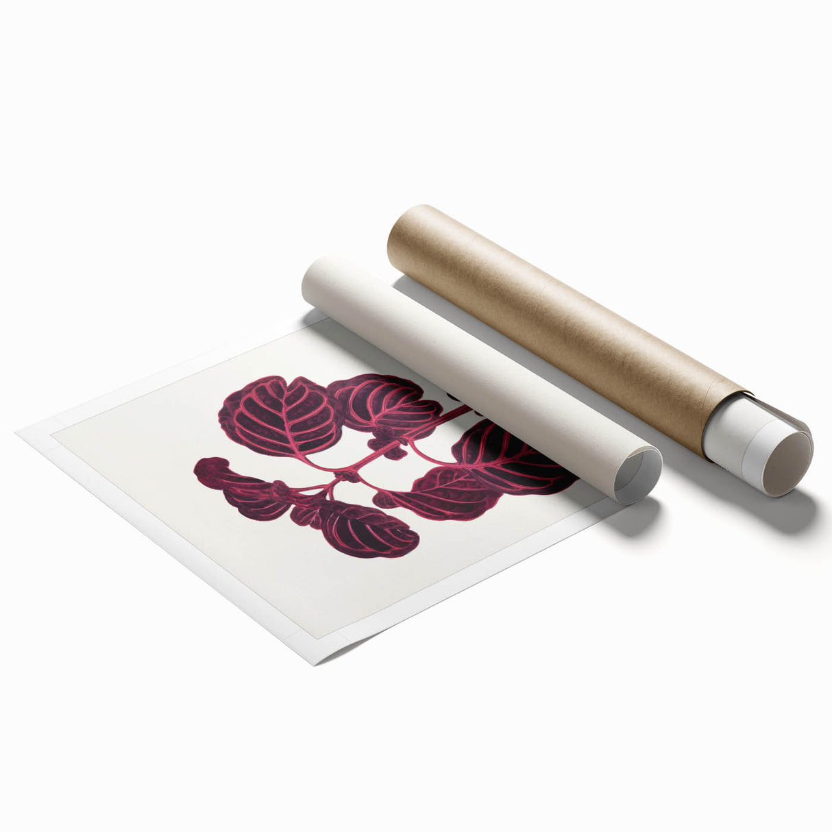 Romanticism Art: "Pink Achyranthes Leaf" Classic Botanical Print