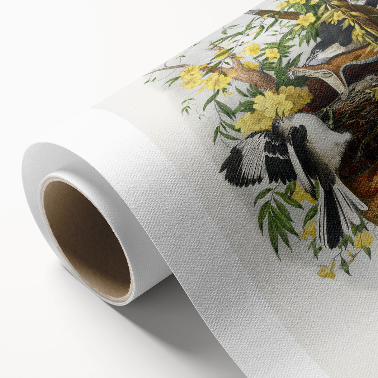 Romanticism Art: "Northern Mockingbird & Snake" Wildlife Canvas Print