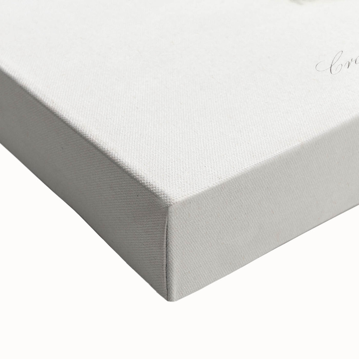 Romanticism Art: "Northern Mockingbird & Snake" Wildlife Canvas Print