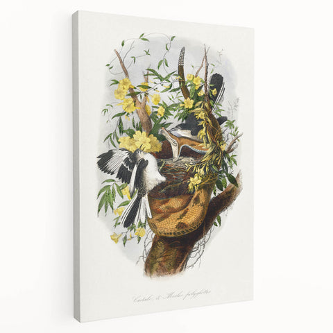 Romanticism Art: "Northern Mockingbird & Snake" Wildlife Canvas Print