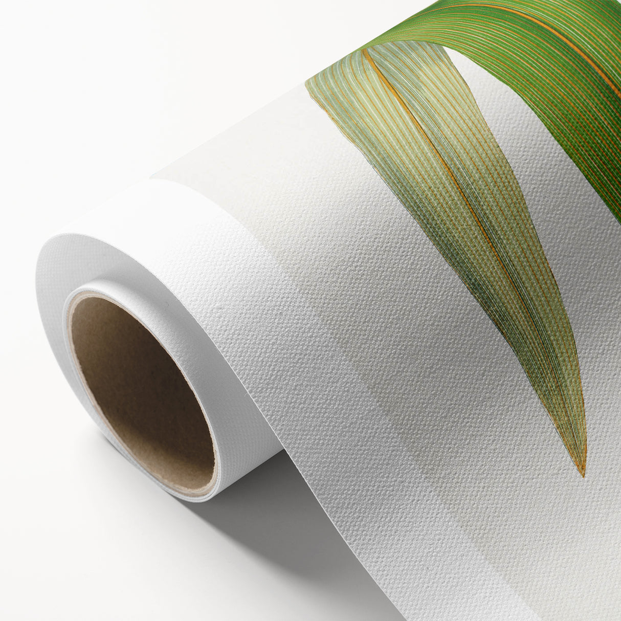 Romanticism Art: "Dracaena Leaf" Botanical Canvas Print