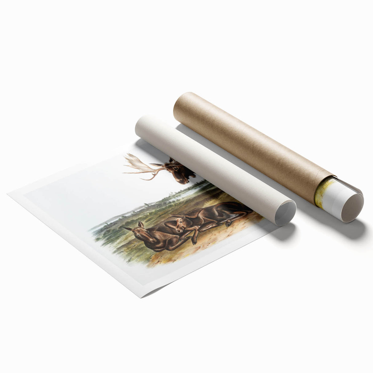 Romanticism Art: "Moose Deer" Wildlife Illustration Canvas Print