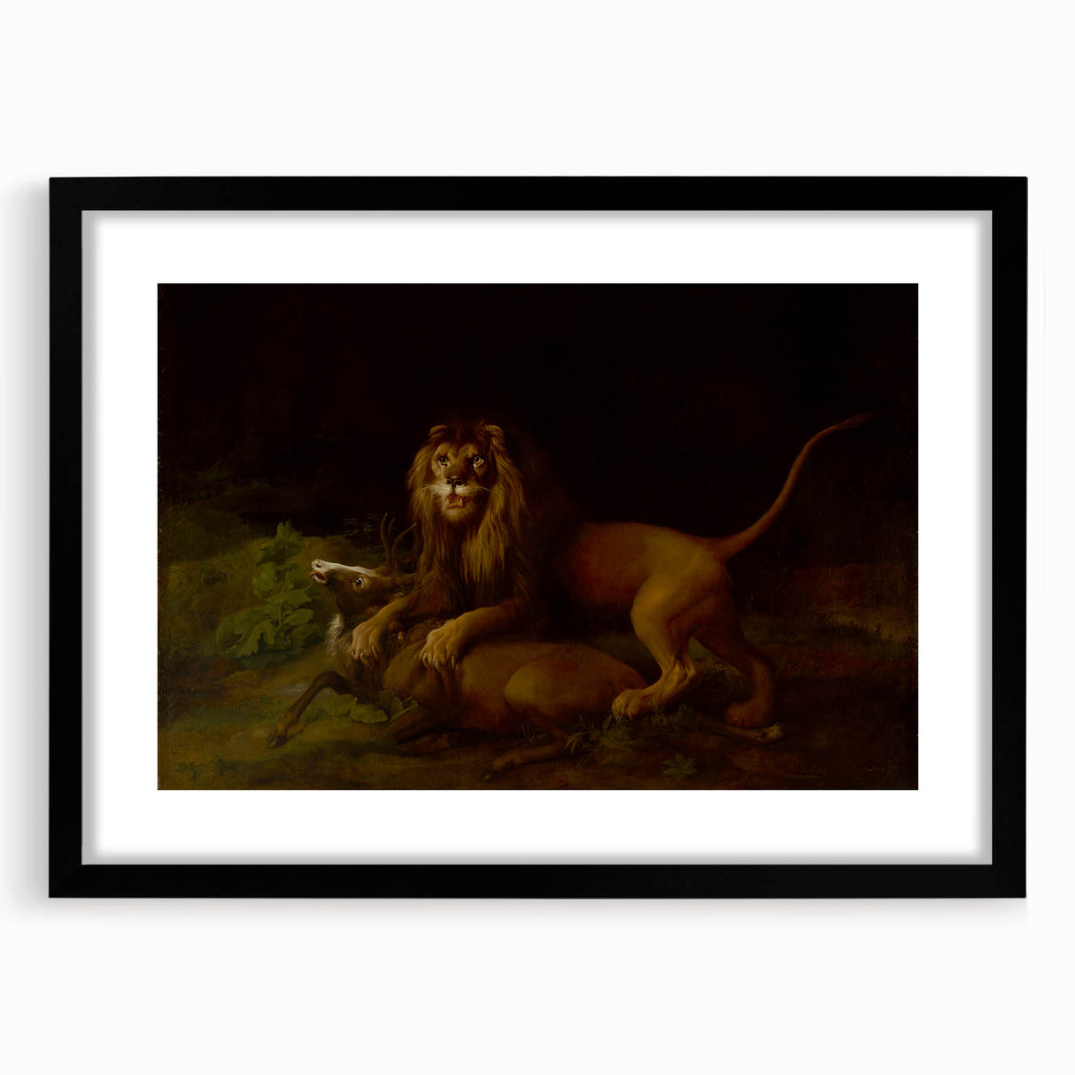 Romanticism Art: "A Lion Attacking a Stag" Wildlife Canvas Print