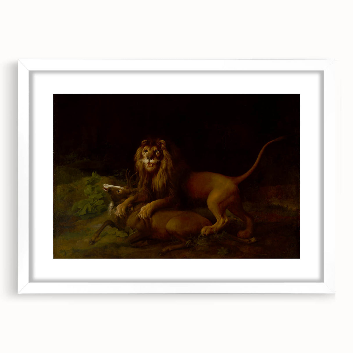 Romanticism Art: "A Lion Attacking a Stag" Wildlife Canvas Print