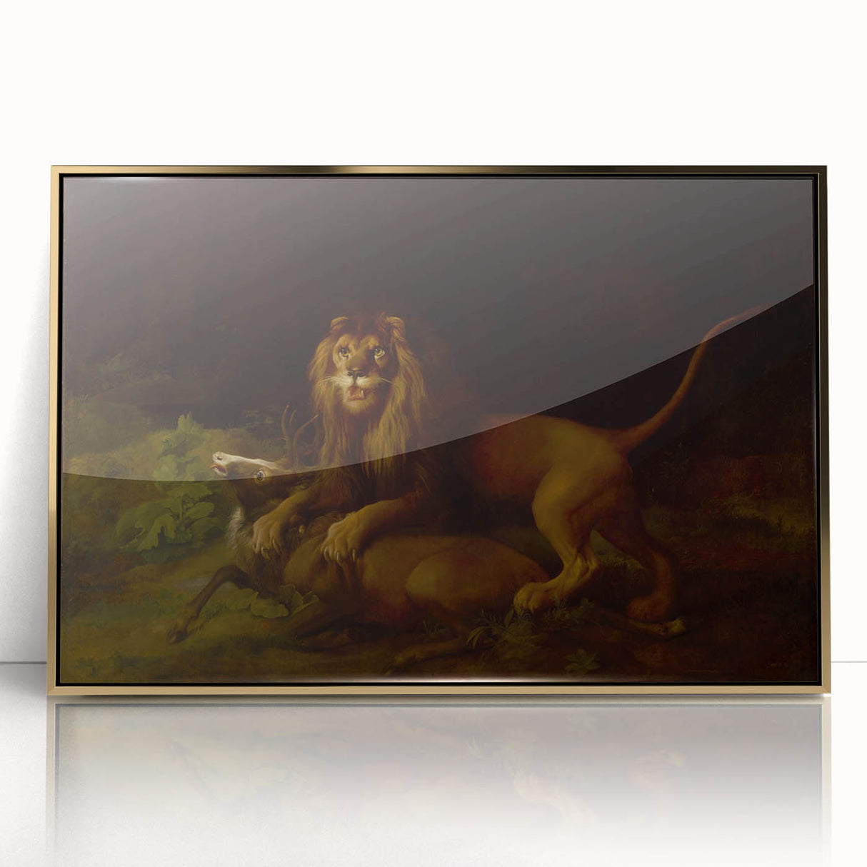 Romanticism Art: "A Lion Attacking a Stag" Wildlife Canvas Print