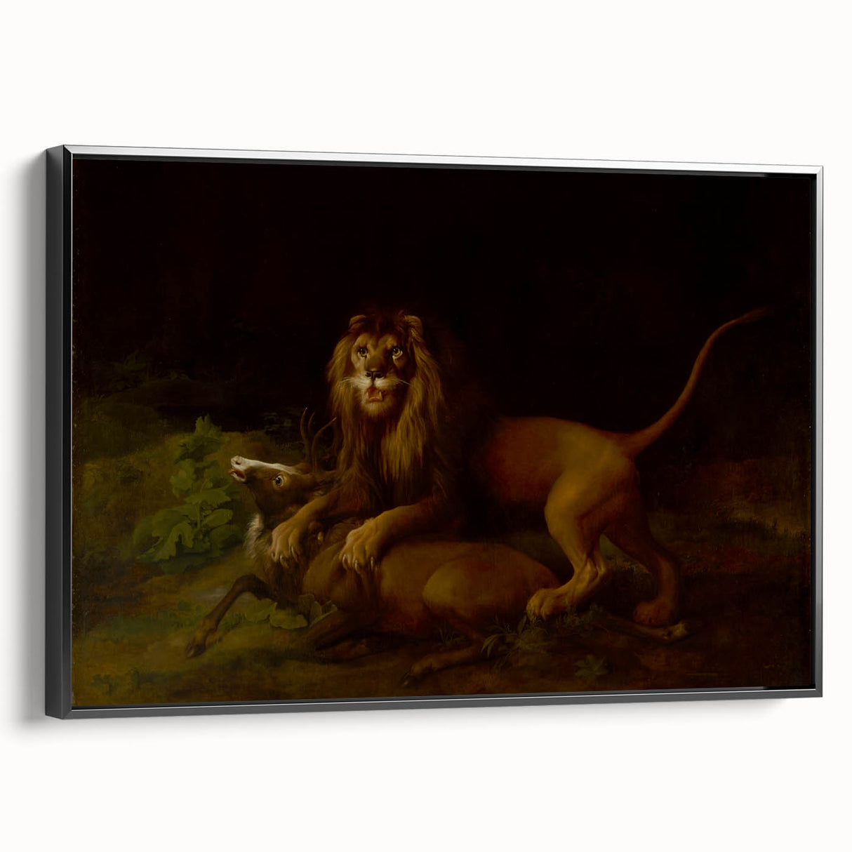Romanticism Art: "A Lion Attacking a Stag" Wildlife Canvas Print