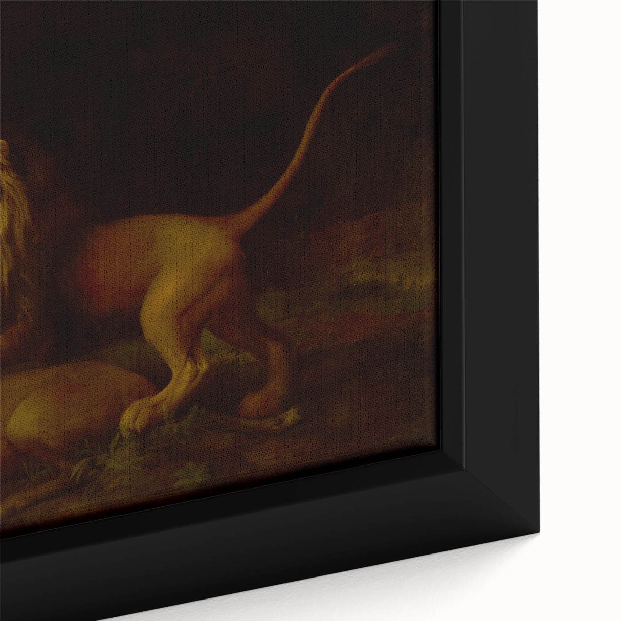 Romanticism Art: "A Lion Attacking a Stag" Wildlife Canvas Print