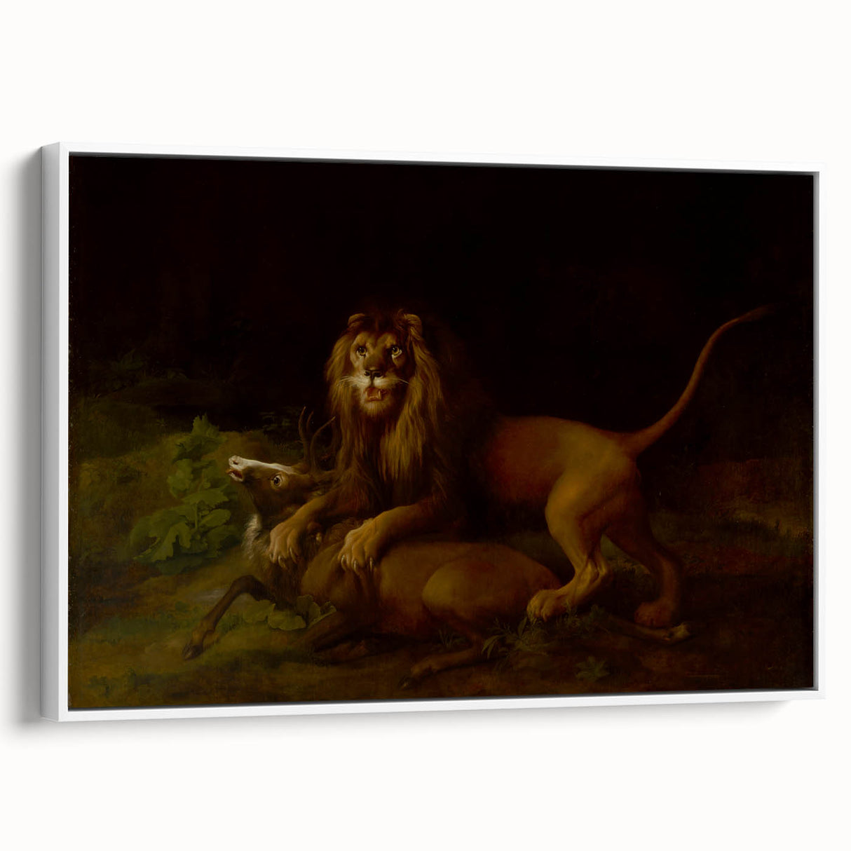 Romanticism Art: "A Lion Attacking a Stag" Wildlife Canvas Print