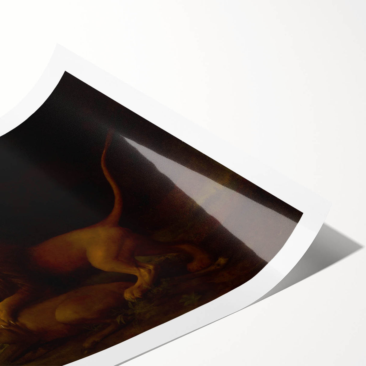 Romanticism Art: "A Lion Attacking a Stag" Wildlife Canvas Print