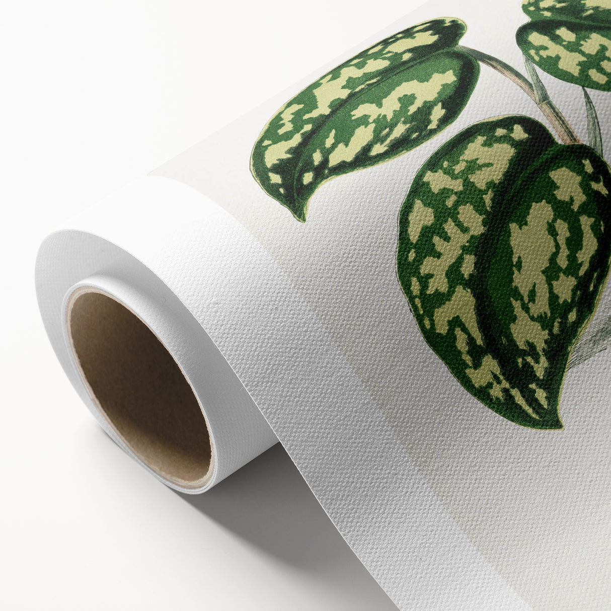 Romanticism Botanical Art: Pothos Argyraea Leaf Print on Canvas