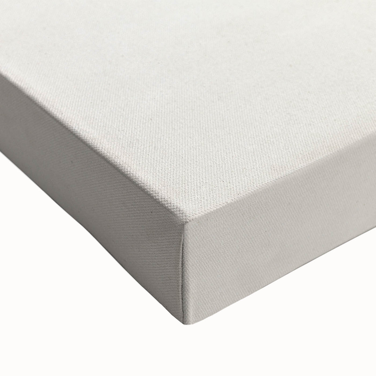 Romanticism Art Print: Eastern Dobsonfly Illustration by D'Orbigny