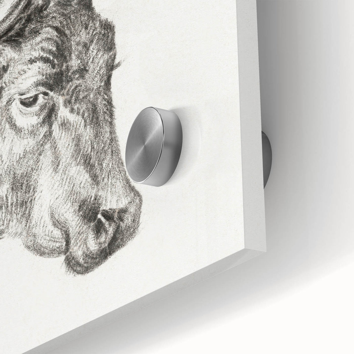 Romanticism Art Print: Head of a Cow - Timeless Sketch by Jean Bernard