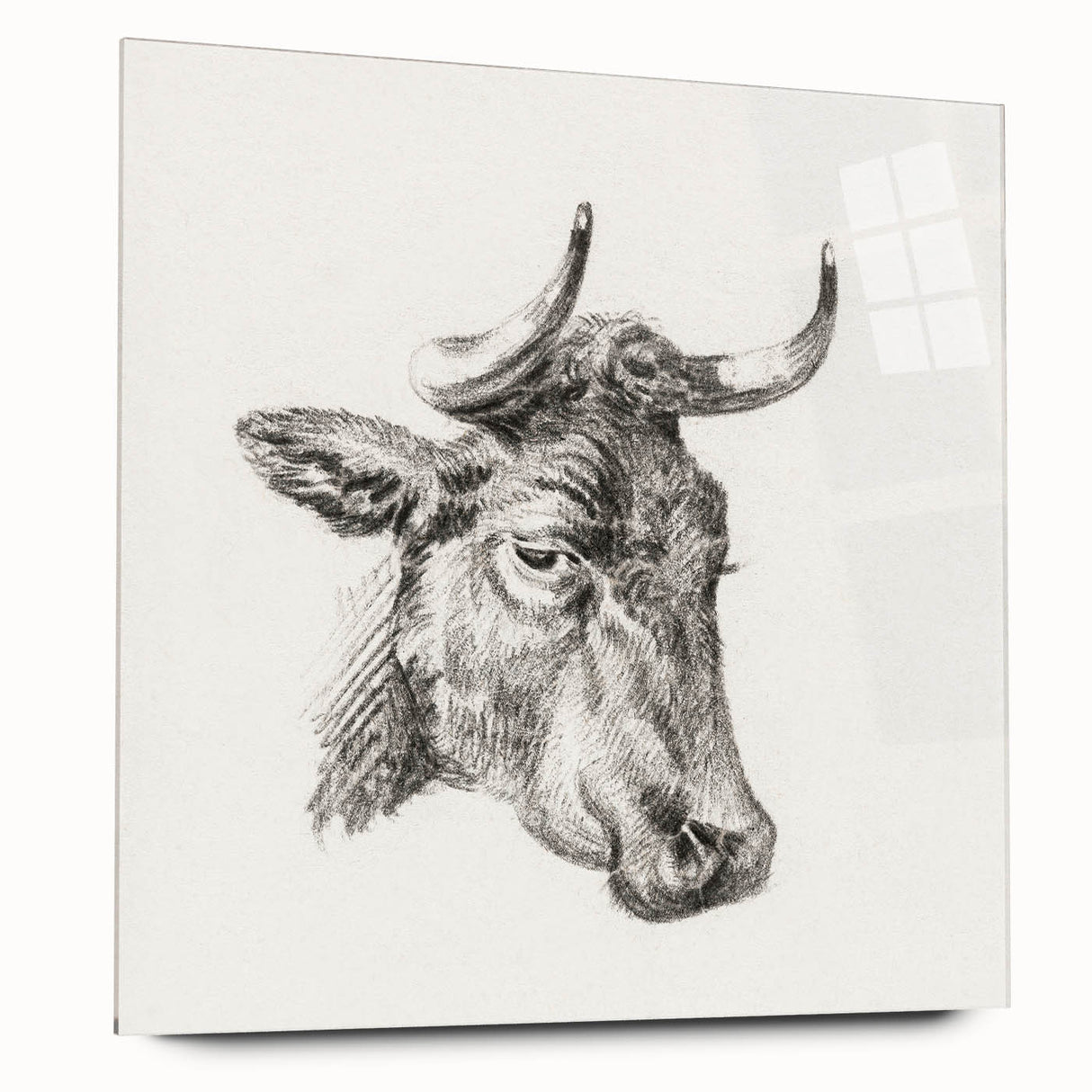 Romanticism Art Print: Head of a Cow - Timeless Sketch by Jean Bernard