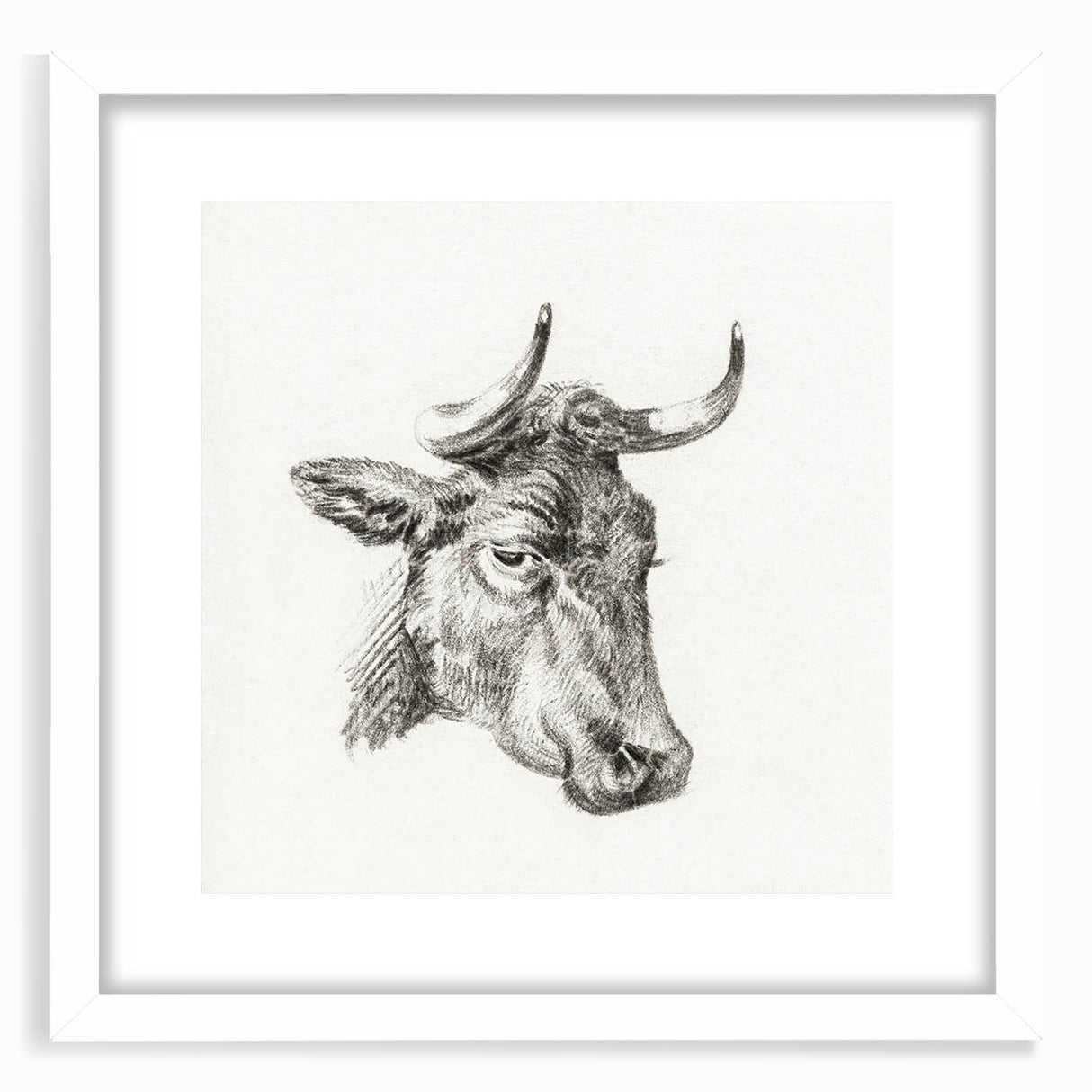 Romanticism Art Print: Head of a Cow - Timeless Sketch by Jean Bernard