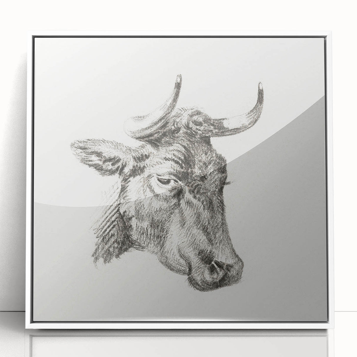 Romanticism Art Print: Head of a Cow - Timeless Sketch by Jean Bernard