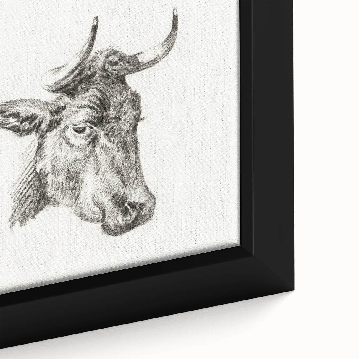 Romanticism Art Print: Head of a Cow - Timeless Sketch by Jean Bernard