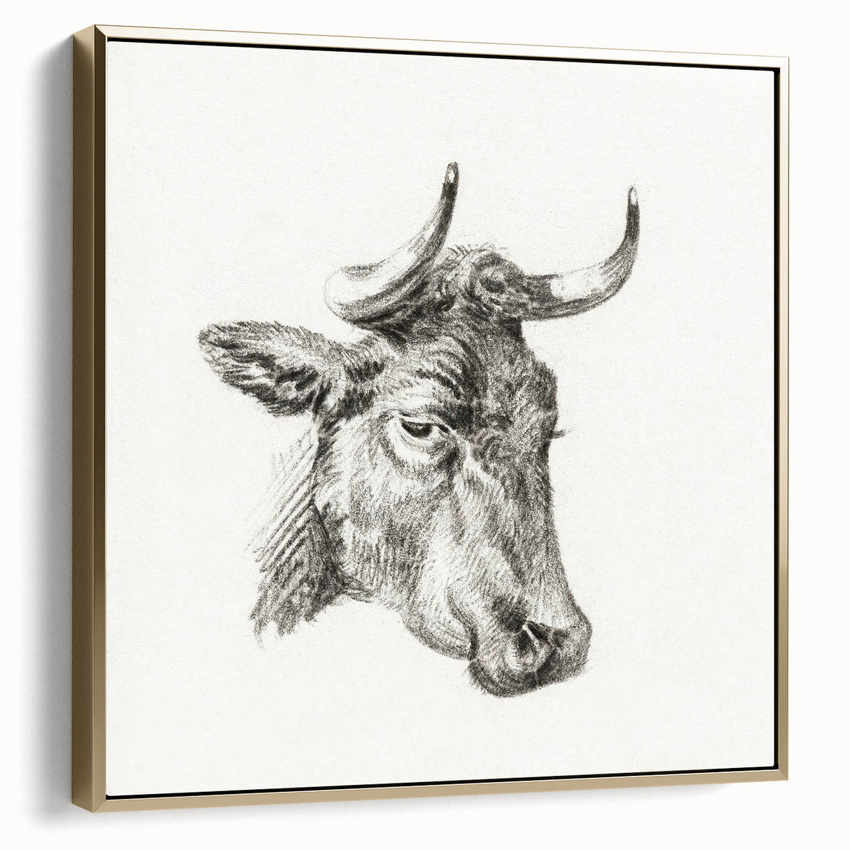 Romanticism Art Print: Head of a Cow - Timeless Sketch by Jean Bernard
