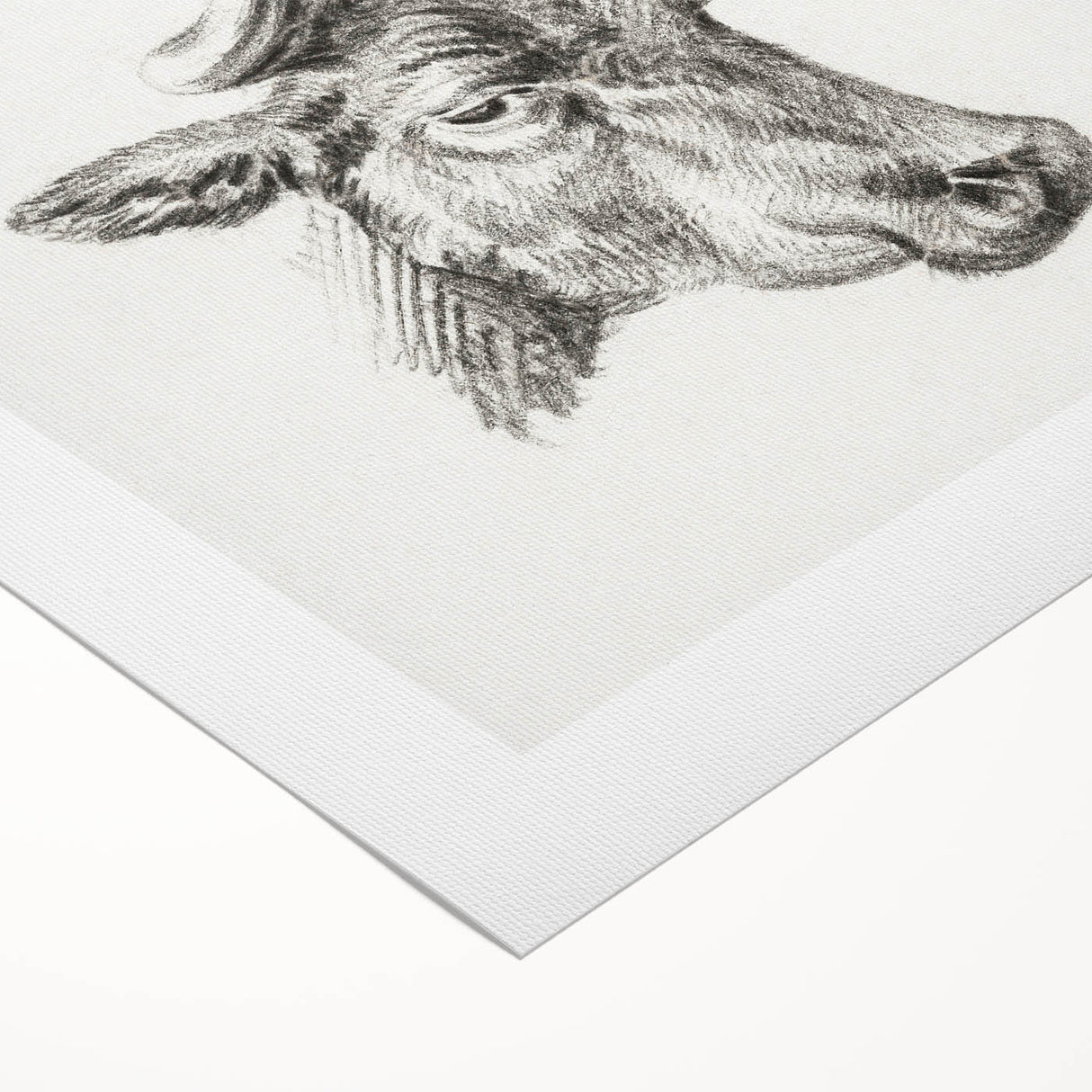 Romanticism Art Print: Head of a Cow - Timeless Sketch by Jean Bernard