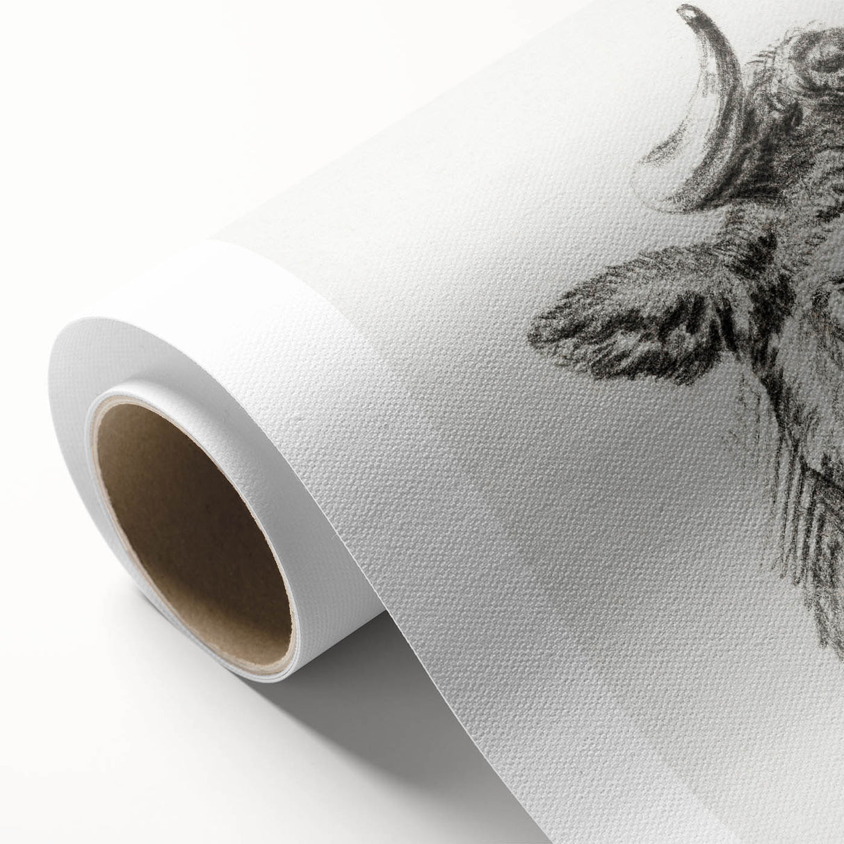 Romanticism Art Print: Head of a Cow - Timeless Sketch by Jean Bernard