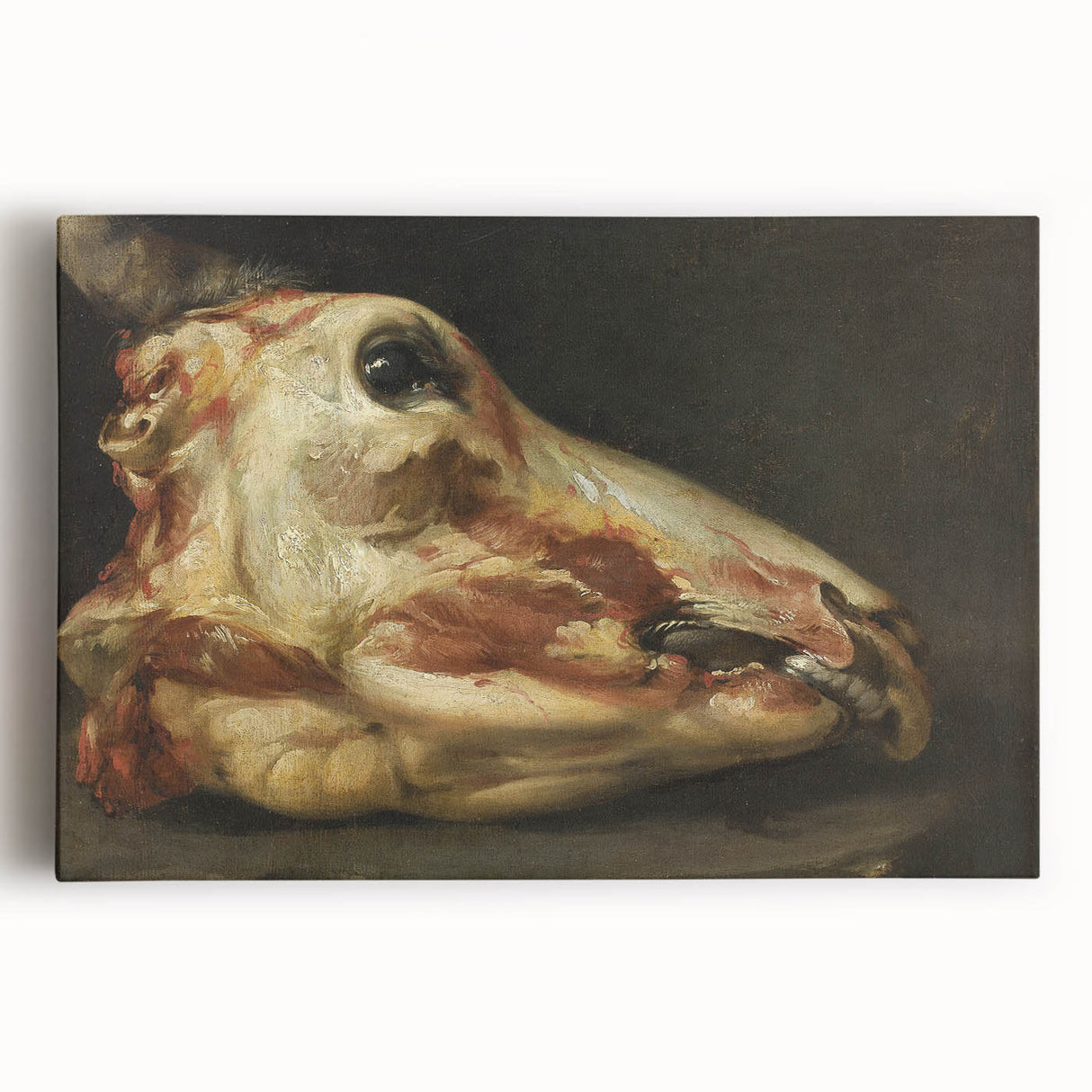 Romanticism Art: Skinned Ox Head - Goya's Historical Canvas Print