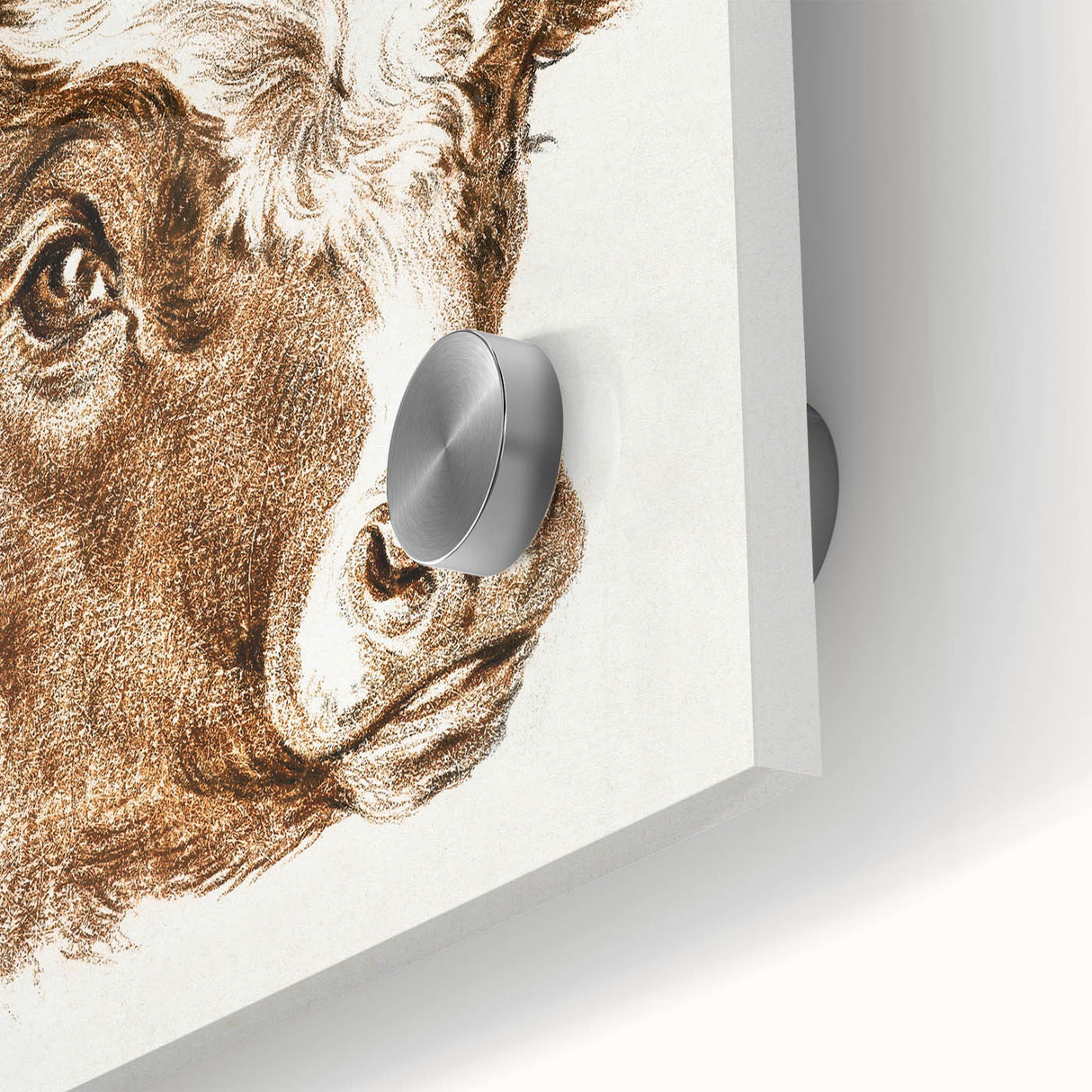 Romanticism Art: Head of a Cow - Historical Animal Sketch Canvas Print