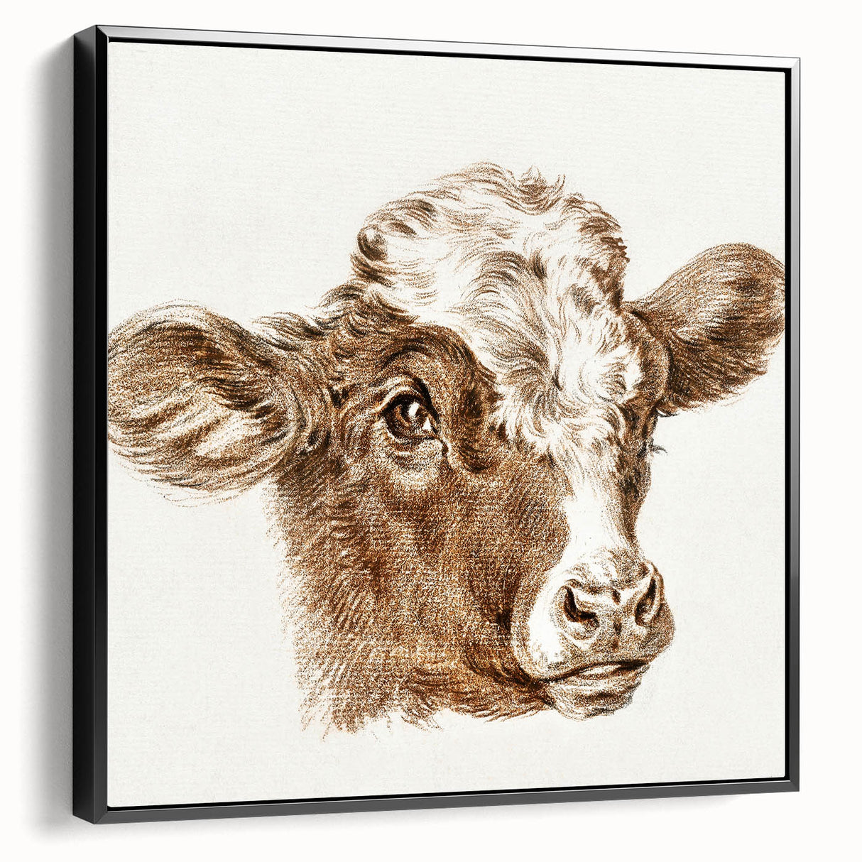 Romanticism Art: Head of a Cow - Historical Animal Sketch Canvas Print