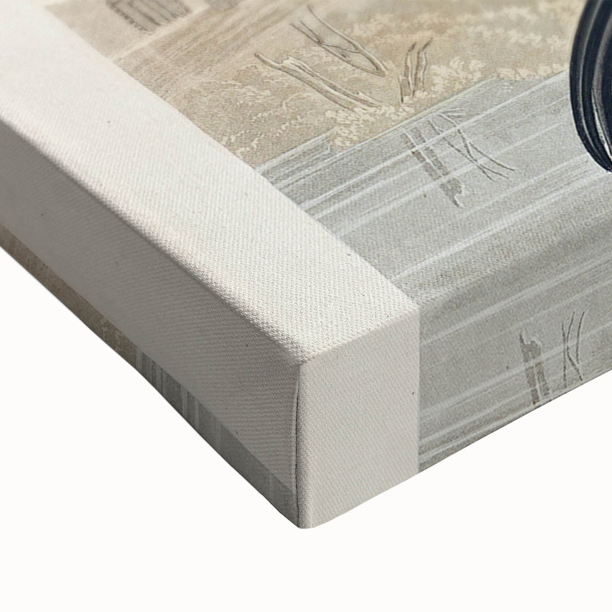 Glossy Ibis Romantic Art - Birds of America Canvas by Audubon