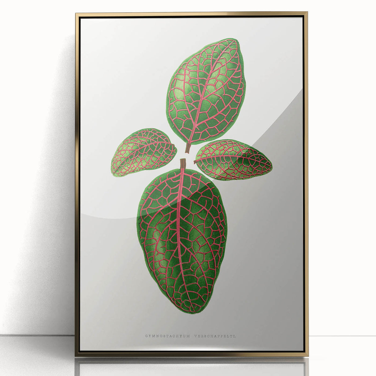 Romantic Art Print: Green Nerve Plant Leaf - Botanical Masterpiece