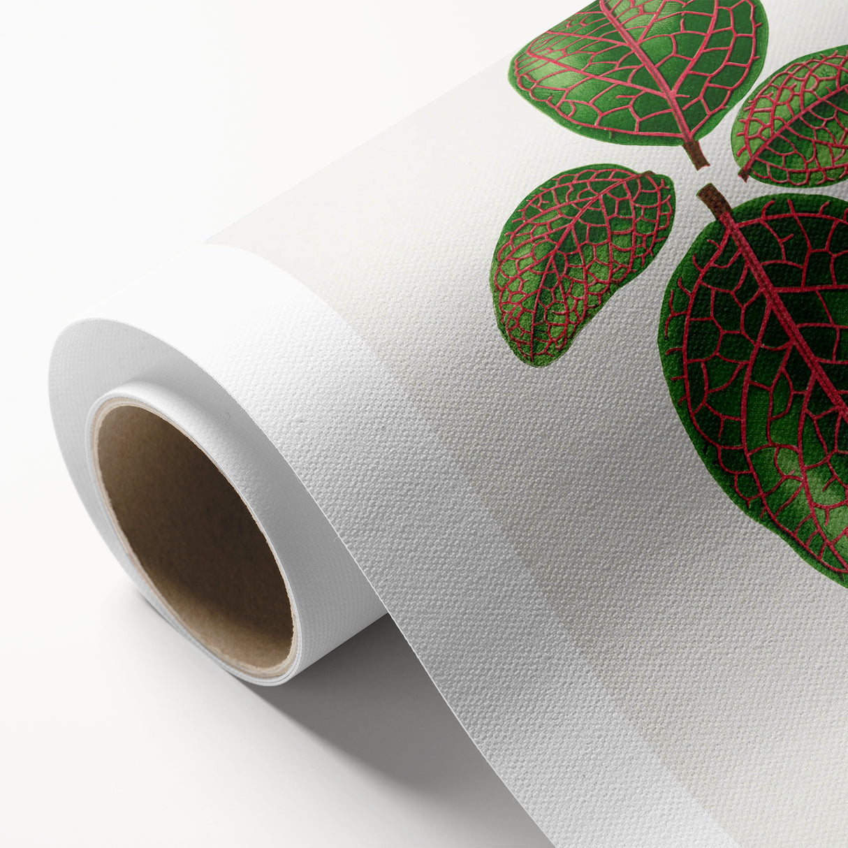 Romantic Art Print: Green Nerve Plant Leaf - Botanical Masterpiece