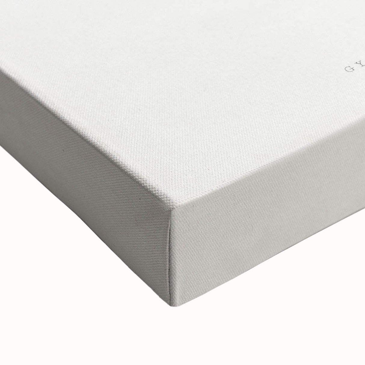 Romantic Art Print: Green Nerve Plant Leaf - Botanical Masterpiece