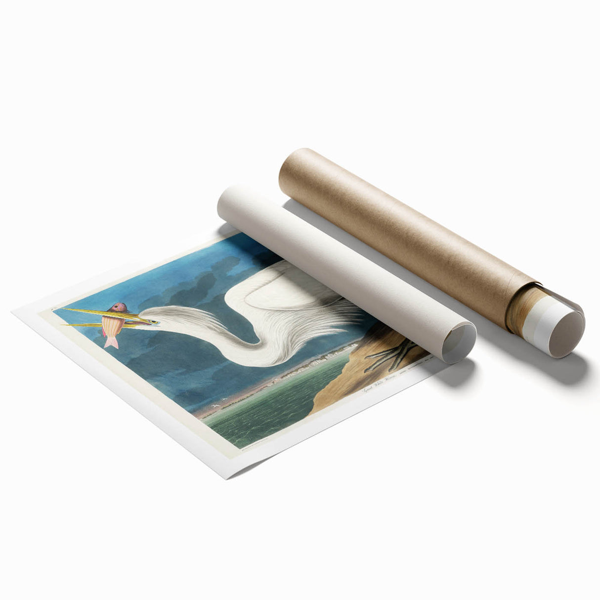 Great White Heron - Romantic Wildlife Art Canvas by Audubon